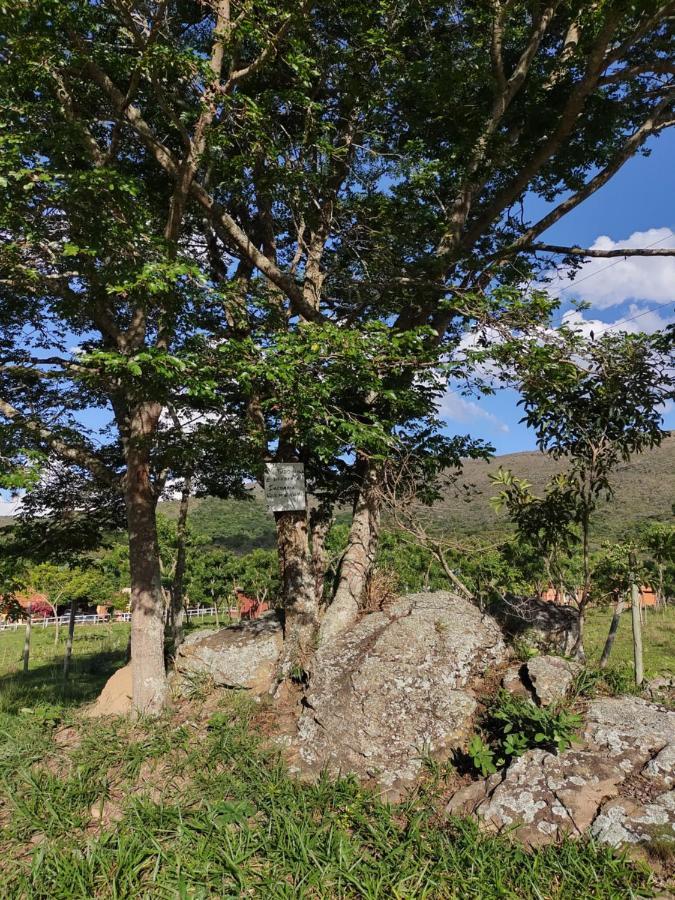 Recanto Jf Da Serra São Tomé das Letras Eksteriør bilde